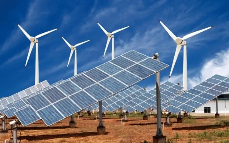 Sustainability management